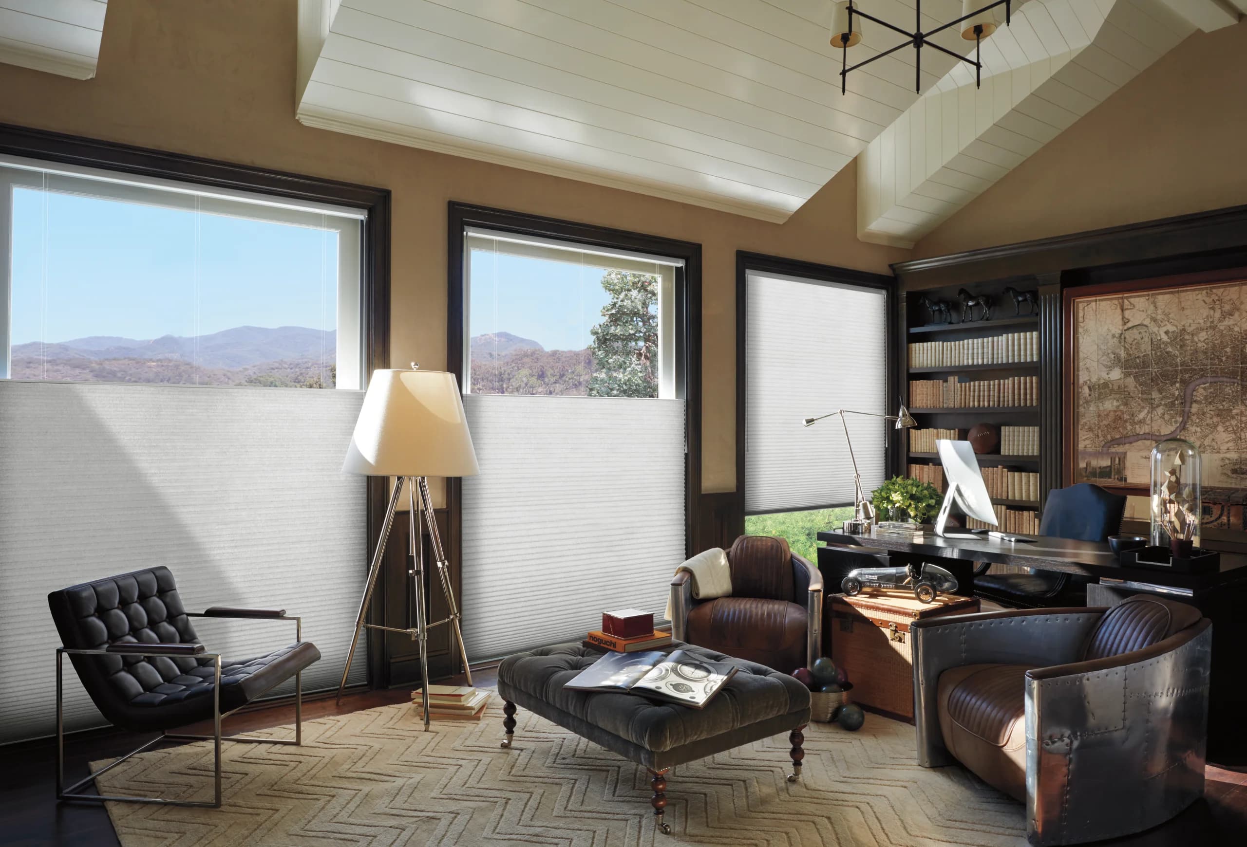Honeycomb cellular shades on a frost-edged New England window in soft winter light.