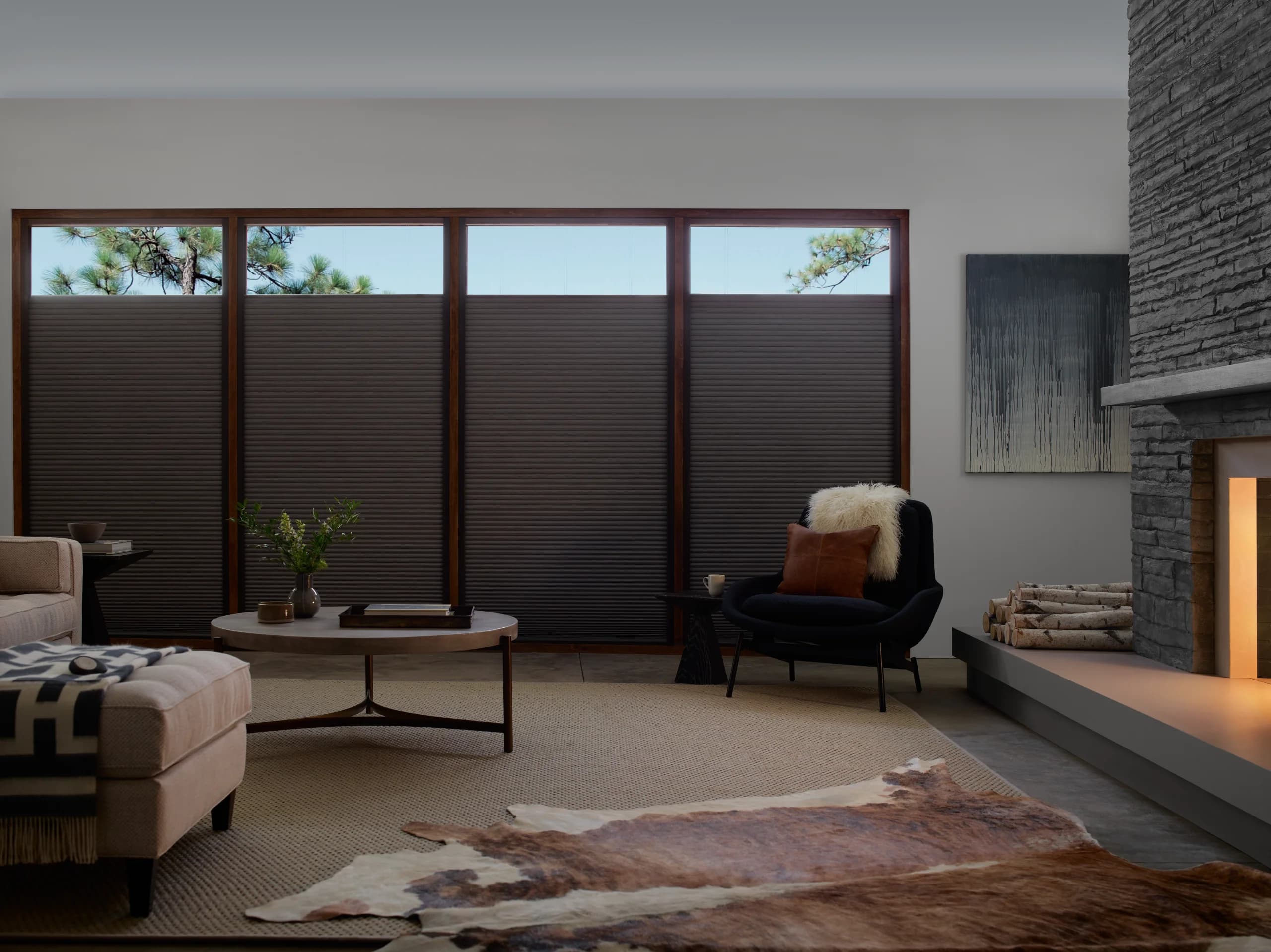 Hunter Douglas Duette® Honeycomb Shades lowered in a living room, holding the winter heat at the glass.