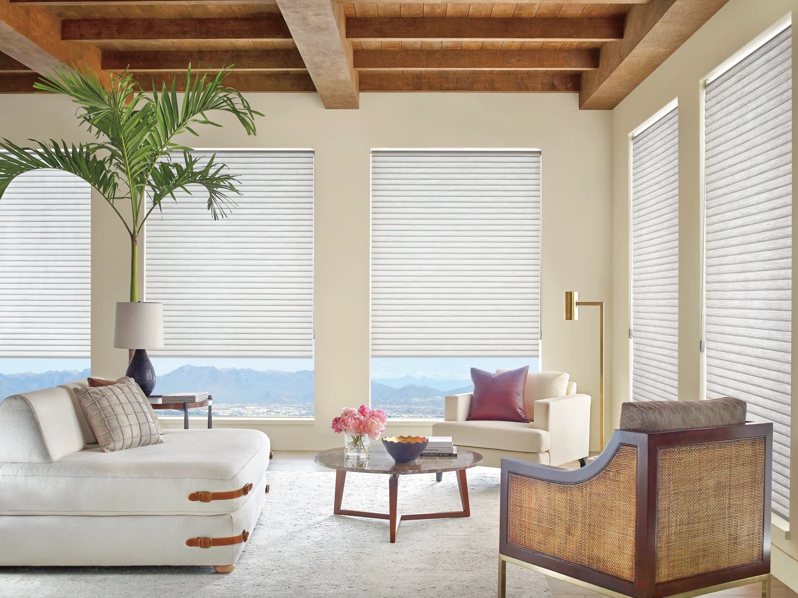 Hunter Douglas Sonnette® Cellular Roller Shades bringing soft, diffused light into a living room.