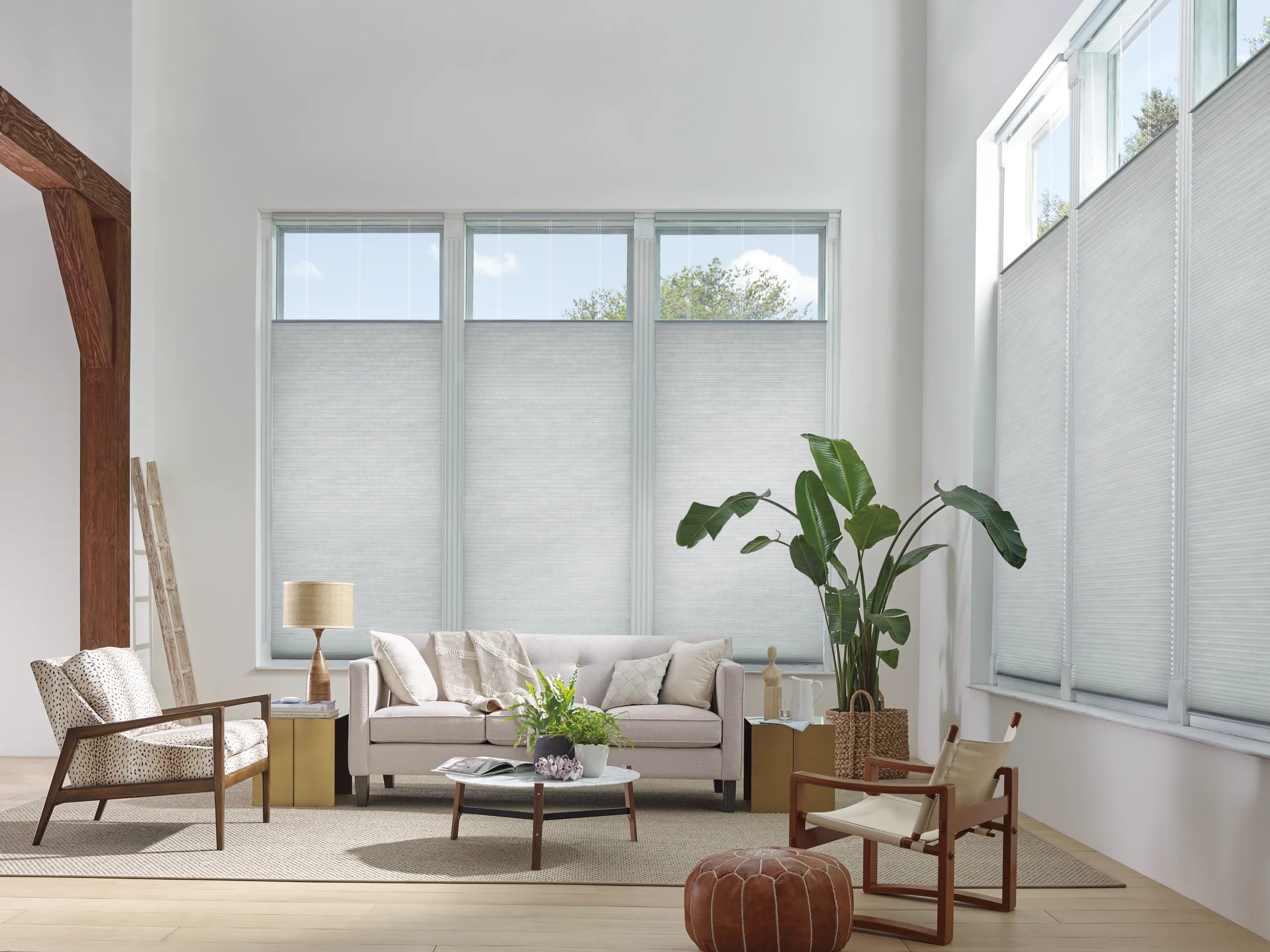 A softly lit window with a cellular shade and a fern on the sill.